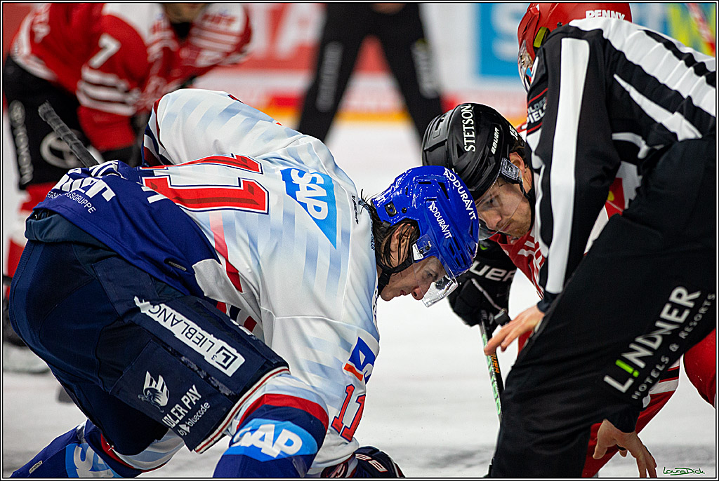 PENNY DEL; Koelner Haie- Adler Mannheim; Koeln, 04.11.2022